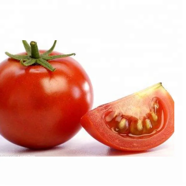 Вид семени томата. Помидор в разрезе. Плод помидора. Ломтик помидора. Овощи по отдельности.