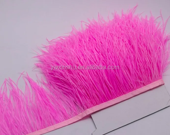 Ostrich Feather 1.png