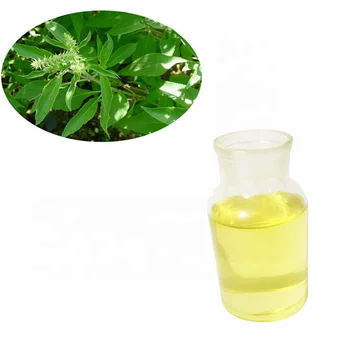 Kosmetik Kelas Basil Harga Minyak Dari India Buy Minyak Daun Kemangi Harga Dari India Product On Alibaba Com