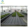 ABS Cover Greenhouse Ebb and Flow Rolling Bench for Hydroponics