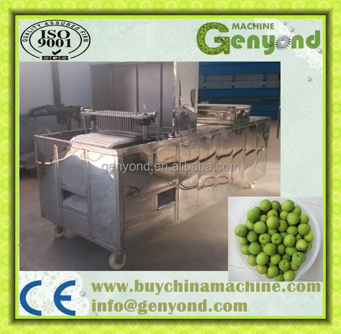 Cherry Pitting Machine / Olive Seed / Cherry Pit Removing Machine ...