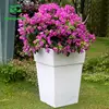 plant for online shop india low price flour mill plant