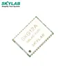 small size gps module SKG12A gps tracking chip pets