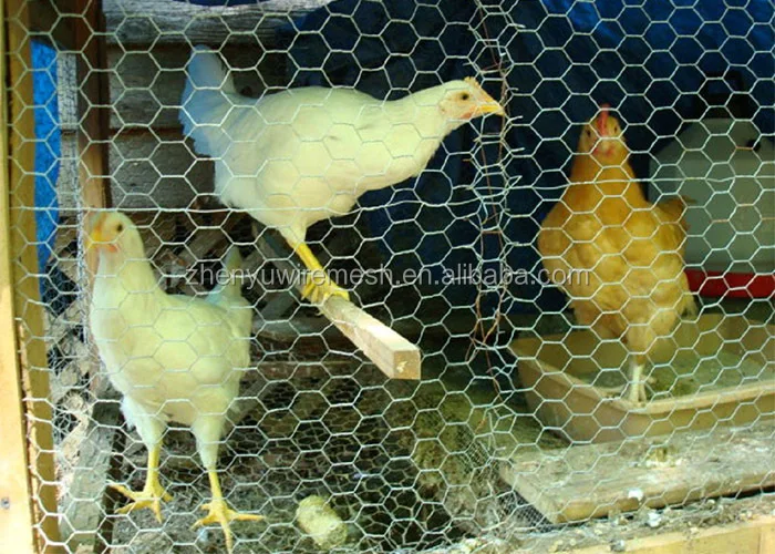 1 2 inch poultry wire