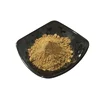 China supply organic free sample black cohosh root extract powder
