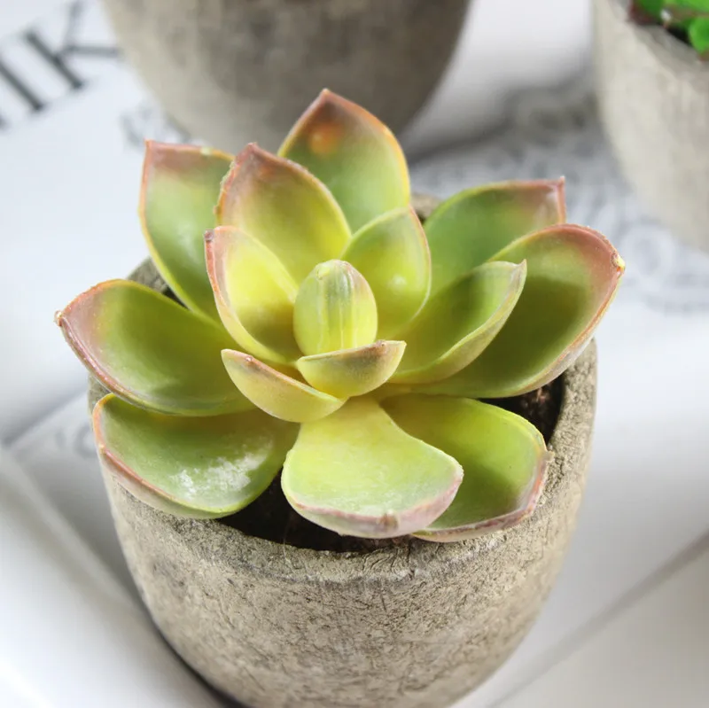 artificial succulent (3).jpg