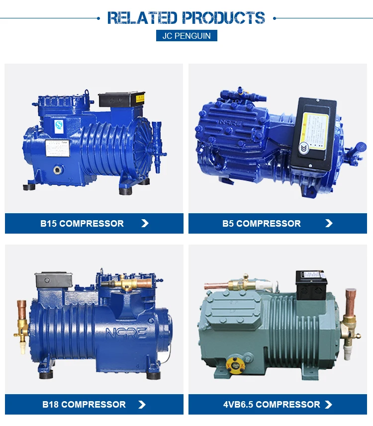 cryogenic compressor
