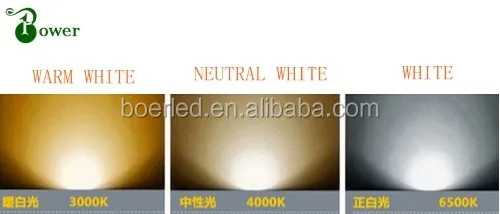 GOLDEN 2W LED HOTEL WALL READING LAMP