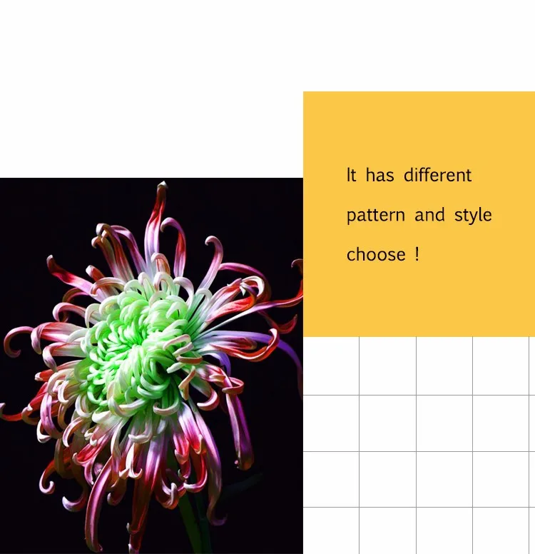 was founded in 2003 and carries the business principle of onn