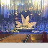 New wrought iron generation Tianjiao screen feather ornaments wedding props stage background shelf wedding window decoration