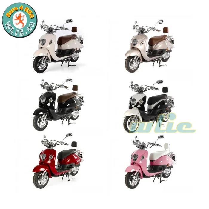eec approved adult pedal motor