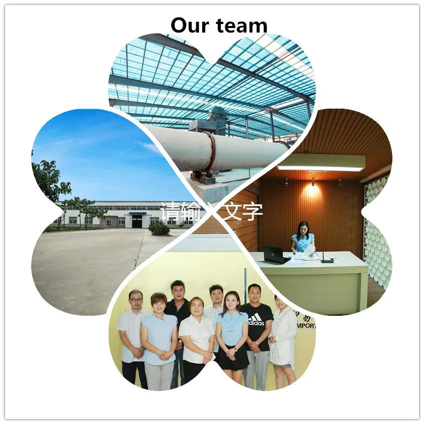 Our team