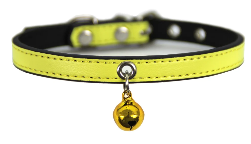 fancy western dog collars