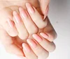 Builder Gel Polish High Quality Wholesale Nail Polish