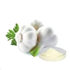 ISO/KOSHER/BRC/Organic certified factory bulk supply Garlic Powder/Granules/ flakes organic raw garlic powder