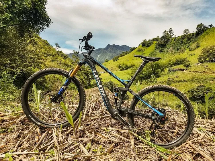 lexon mountain bike