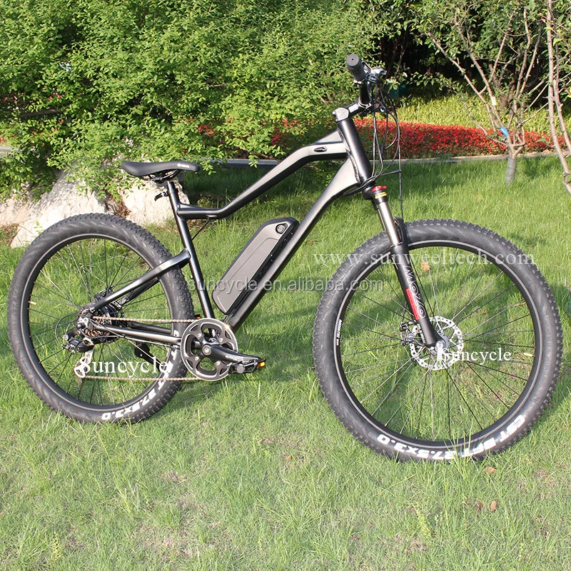 ebike (10)