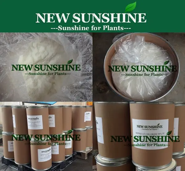 Mepiquat chloride and its packing, shipment.jpg