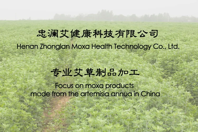 moxibustion (4)