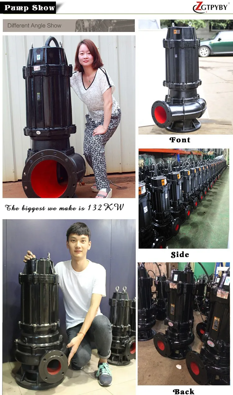 Details of Sewage Pump.jpg