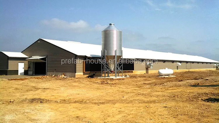 Hot dip galvanized 15mX100m poultry farm house construction design for Sri Lanka