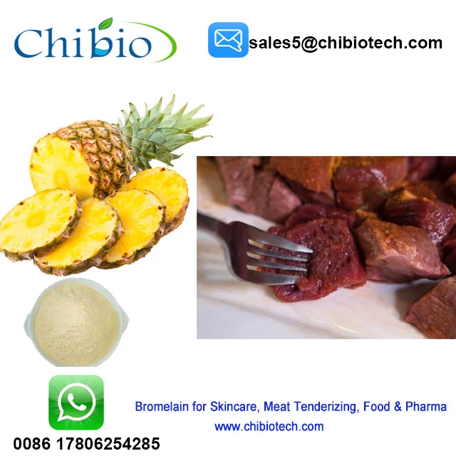 Food Cosmetics Pharma Grade Pineapple Bromelain Enzyme Powder Bulk For