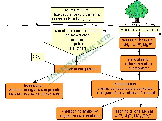 Fulvic Acid Potassium Fulvate