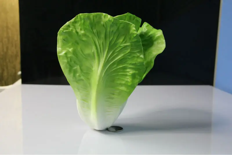 Artificial Vegetable Decorative Fake Lettuce Buy High Quality