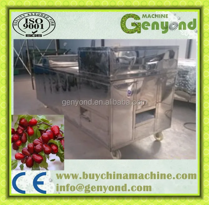 Cherry Pitting Machine / Olive Seed / Cherry Pit Removing Machine ...