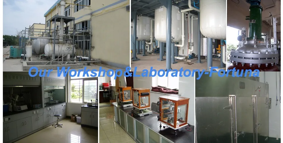 Workshop&Laboratory-.jpg