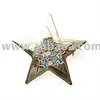 BRIGHTLY STAR IN NORTH POLA
