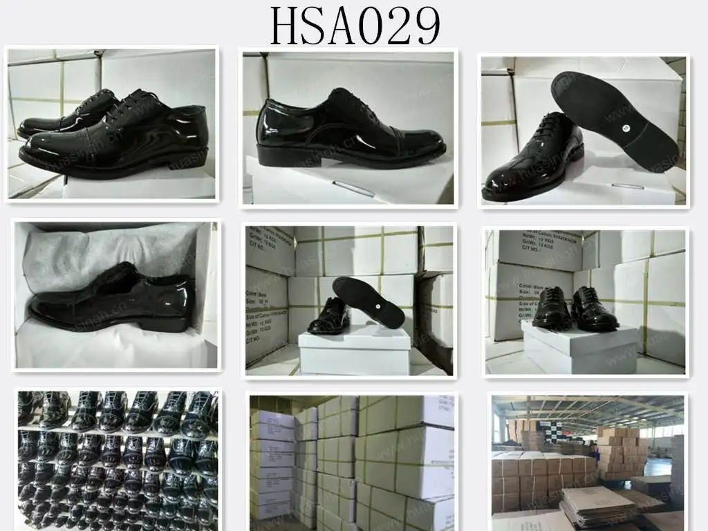 HSA029.1