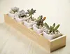 Pineapple Artificial Succulent Ceramic Plant Pot