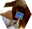 011