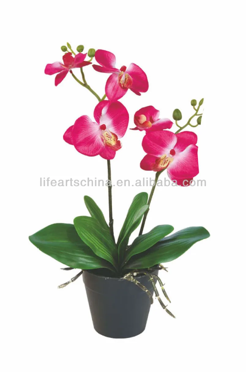 Artificial Flower 35cm Orchid With Pot Buy Artificial Orchid
