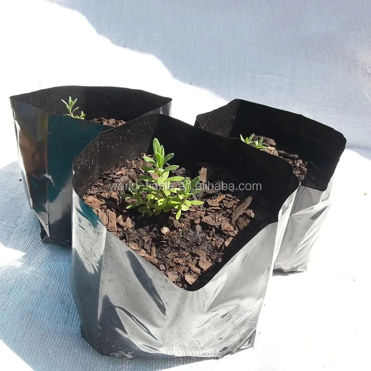 Horticulture Industry Plastic Grow Bag Plant Nursery Poly Bag Buy