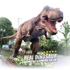 Amusement Park Playground Equipment High Simulation Animatronic Dinosaur