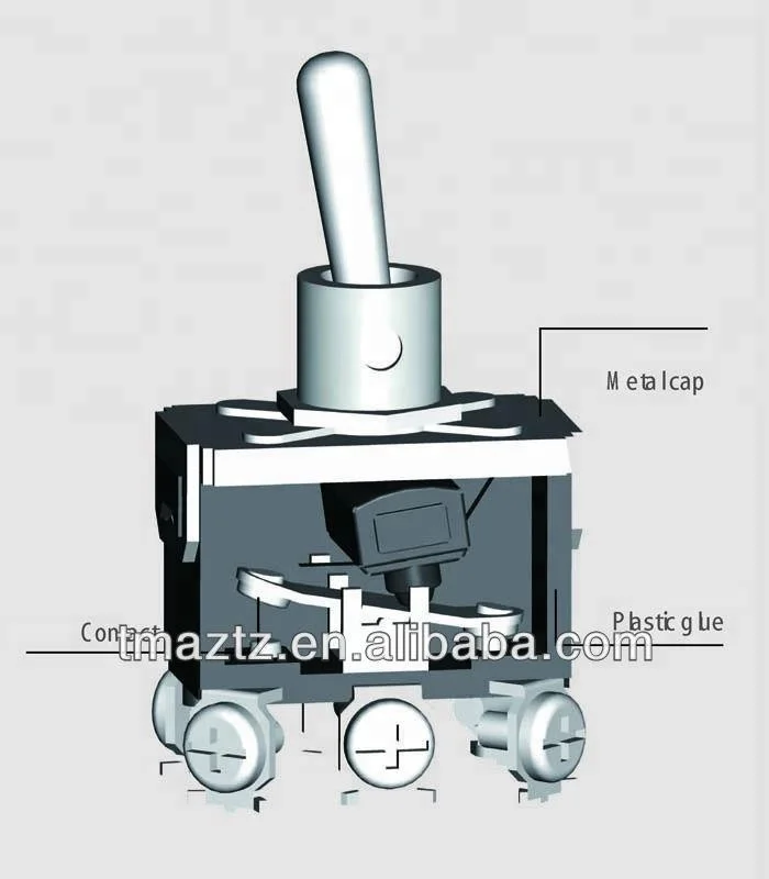 T5