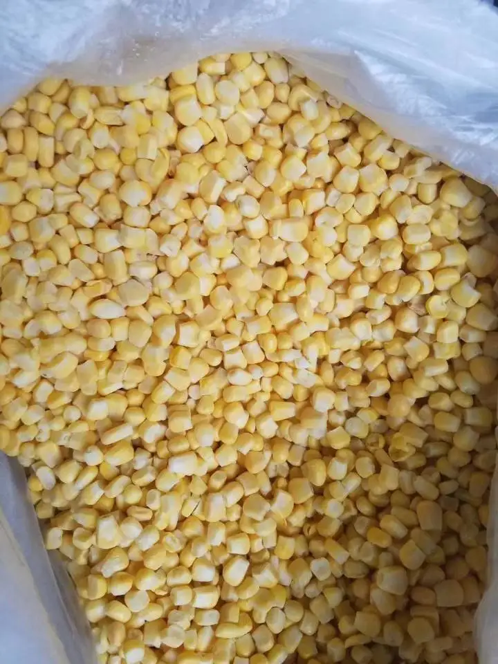 新收获的作物高品质冷冻 iqf 甜玉米仁