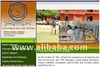 Schools Website Designing