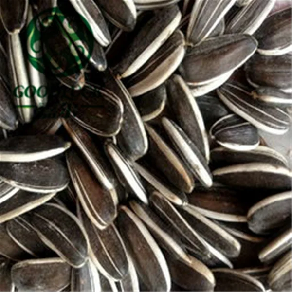 China Supplier Hybrid Turkish Sunflower Seed Ton Price Buy Sunflower