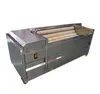 Brush roller washing and peeling machine for root vegetable cleaning