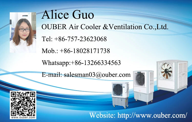 Alice Guo.jpg