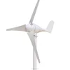 100 watt portable windmill generator