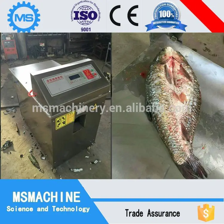 Get A Wholesale tools fish processing equipment To Reduce Wastage 