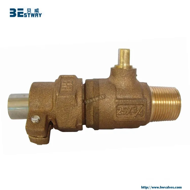 BW-Q13 0.jpg