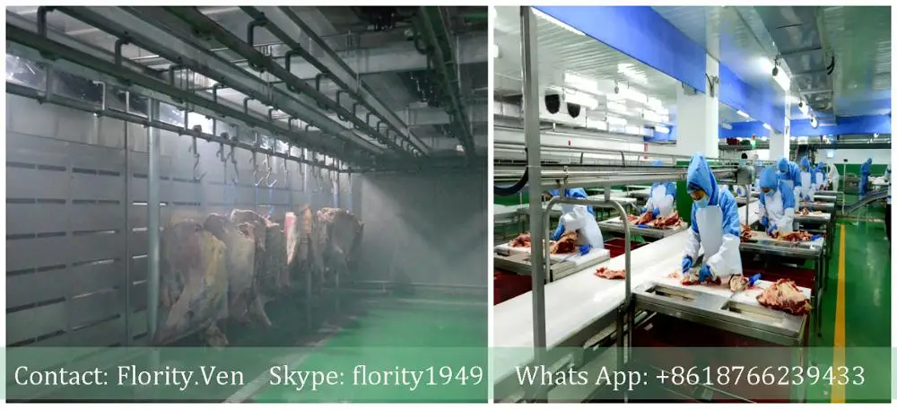Chicken thawing chamber for defrosting machine frozen meat microwave thawing machine equipment