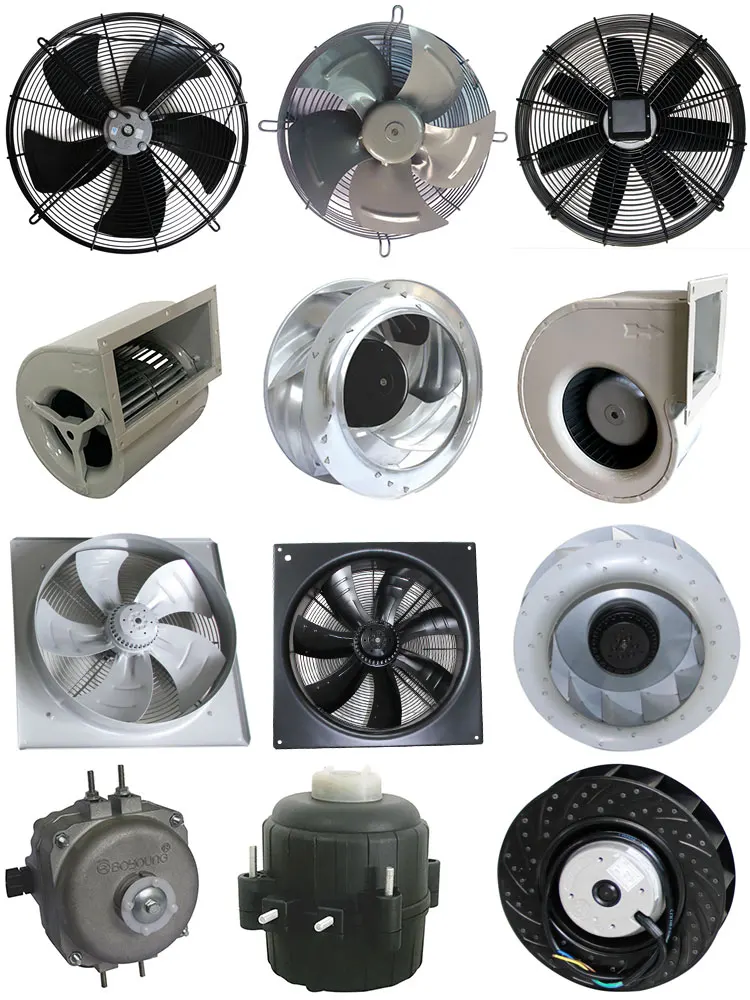 all kind of fans.jpg