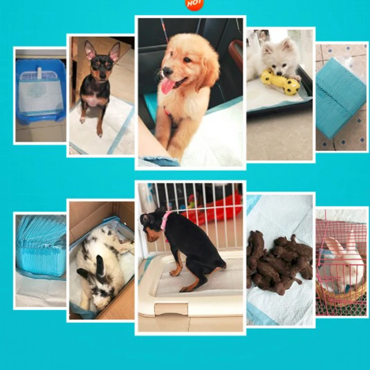 pet training pads(4).JPG