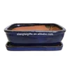 Cobalt Blue Rectangle Ceramic Bonsai Pot with Saucer